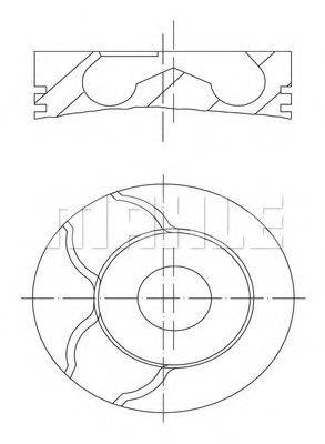 MAHLE ORIGINAL 0220102 Поршень